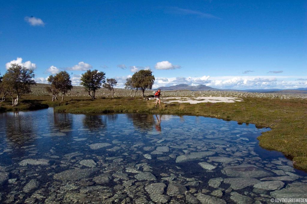 Sjö i Rogen | Foto: Lena Hedman