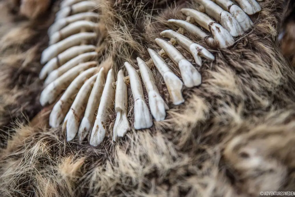 Necklace made from moose teeth at Glösa rock carvings, 6000 year old rock art. Photo: Erika Willners