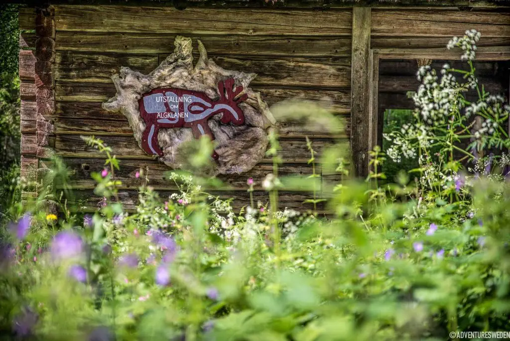 Exhibitions open 24/7 at Glösa Rock Carvings. Photo: Erika Willners