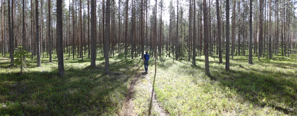 Djuptjärnsstigen Backe vandringseldorado