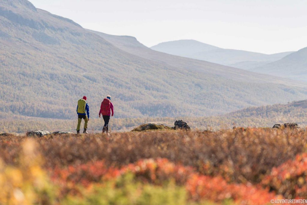 Jämtlandstriangeln Niclas Vestefjell