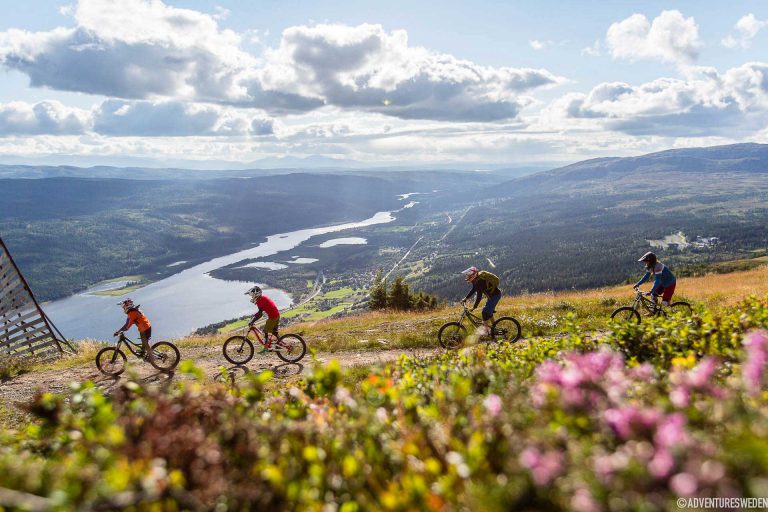 Downhill, cykling i Åre | Foto: Niclas Vestefjell