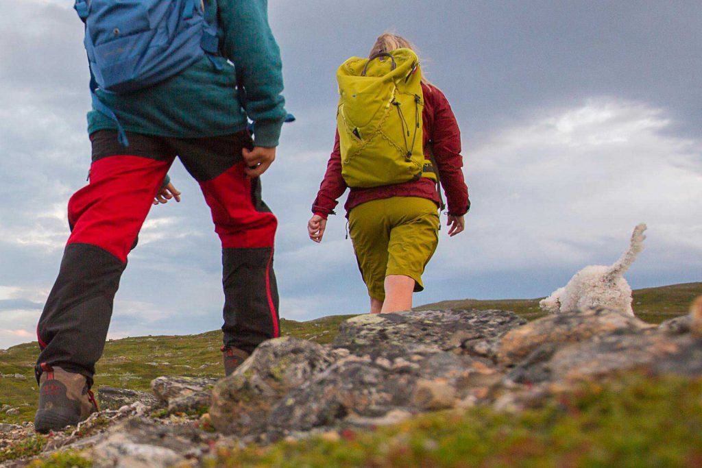 Hiking in Jämtland Härjedalen | Photo: Niclas Vestfjell