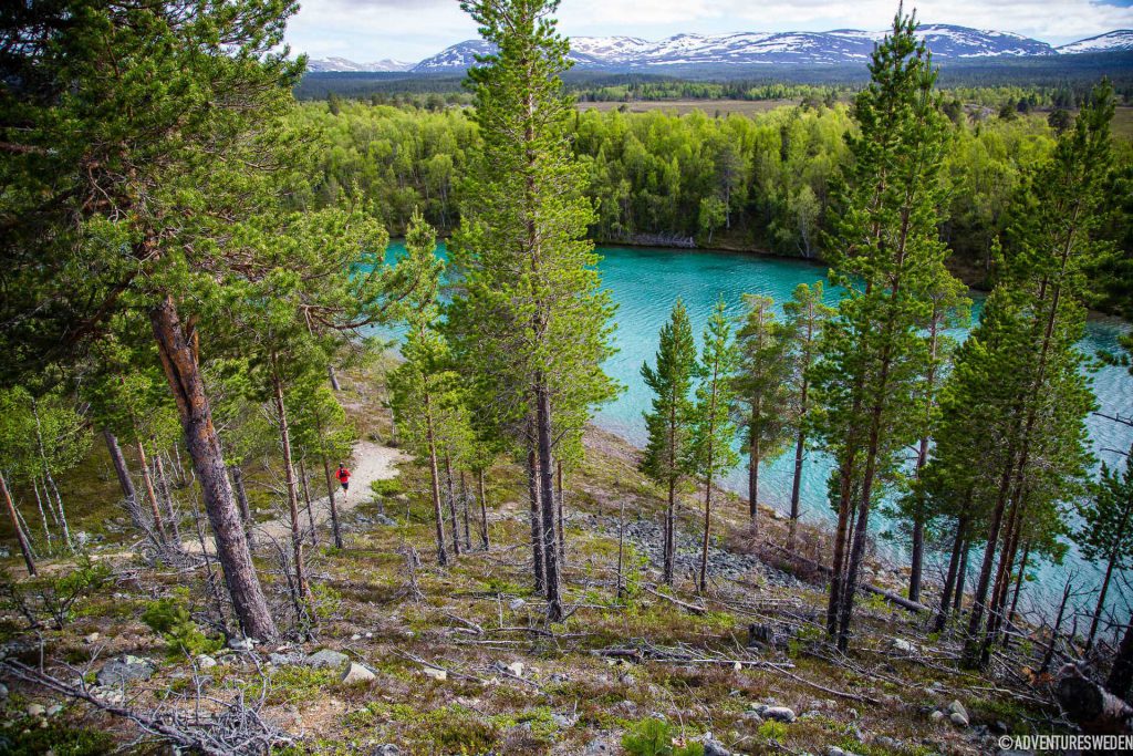 Löpning vid Blanktjärn, Vålådalen | Foto: Anette Andersson