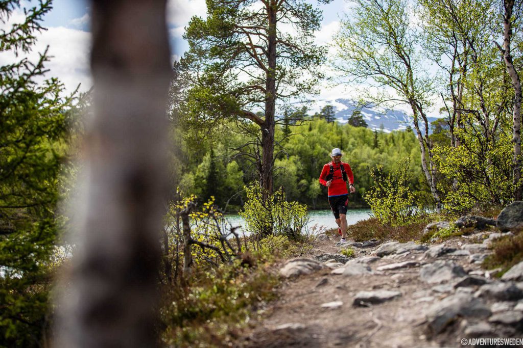 Löpning vid Blanktjärn, Vålådalen | Foto: Anette Andersson