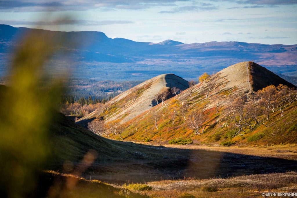Vy över Pyramiderna, Vålådalen | Foto: Anette Andersson