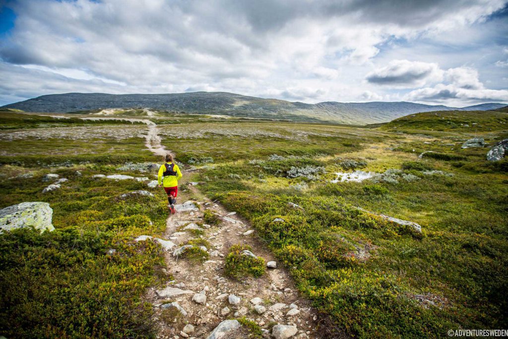 Terränglöpning vid Pyramiderna | Foto: Anette Andersson