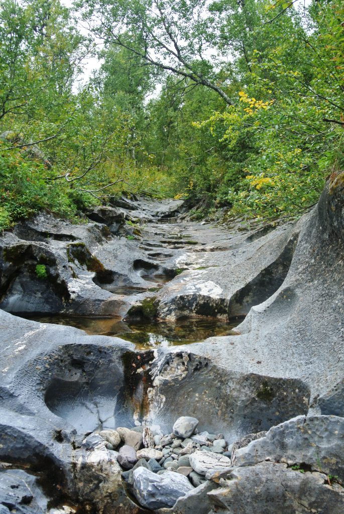 Bjurälven formationer Vilseledaren