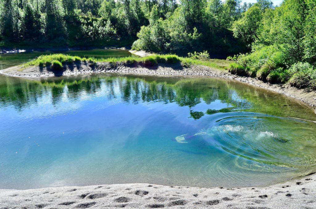 Bjurälven Vilseledaren