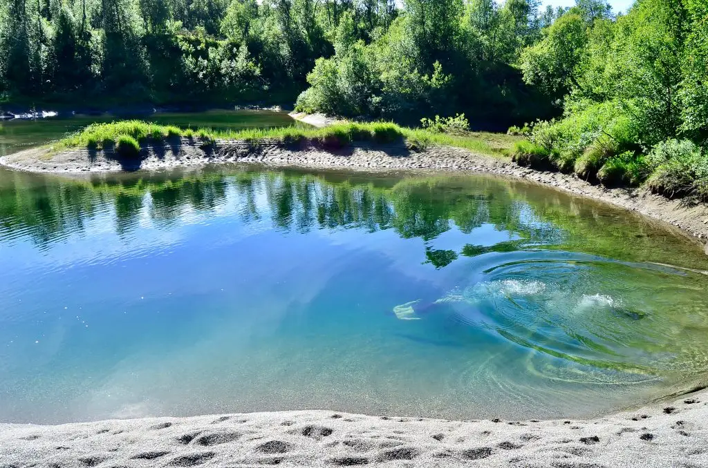 Dyker Bjurälven Vilseledaren