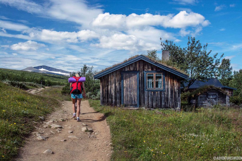 Helags – vandring vid fäbodar | Foto: Erika Willners