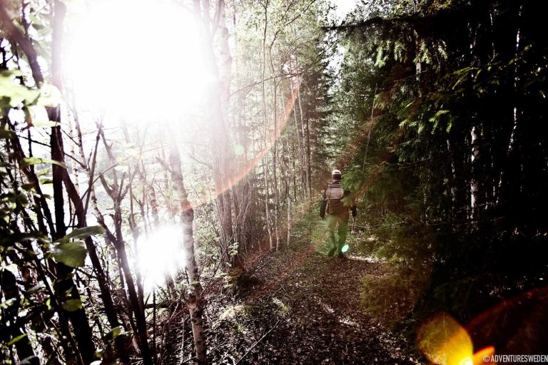 Fiskare i skogen, Ammerån | Foto: Tina Stafrén