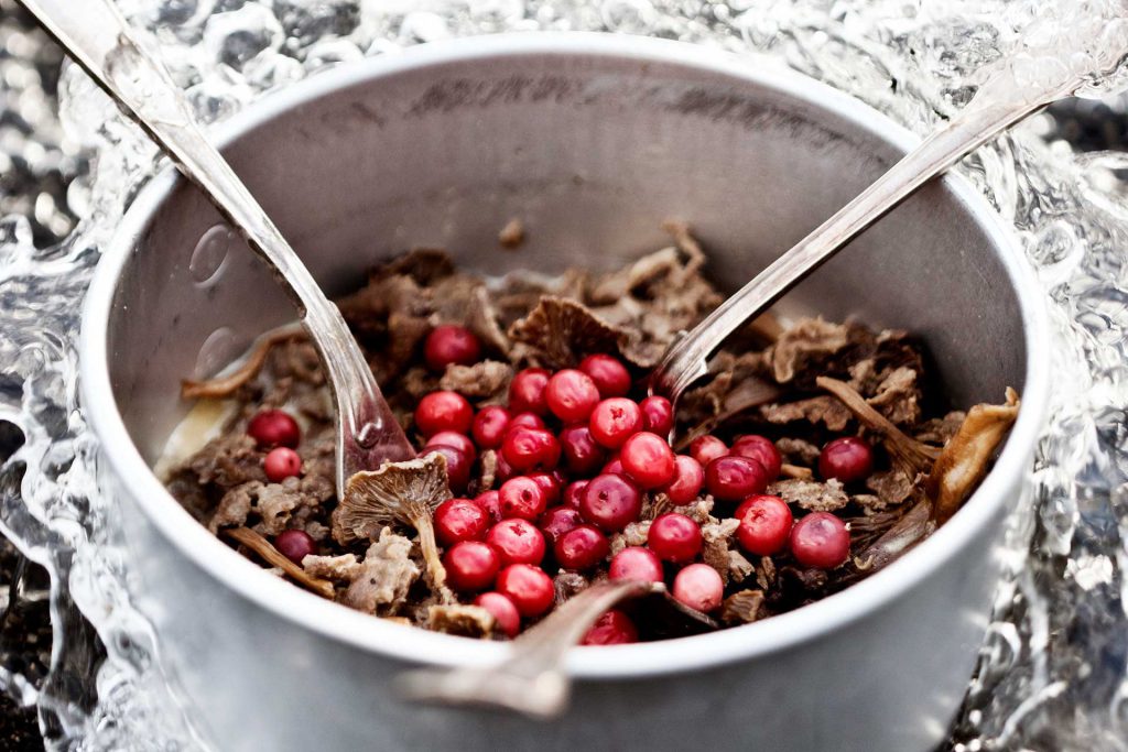 Renskav med sura lingon | Foto: Sandra Lee Pettersson