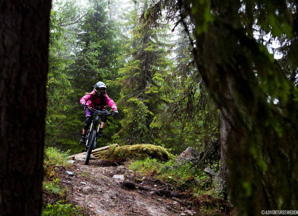 Downhill i Lofsdalen | Foto: Callum Jelley