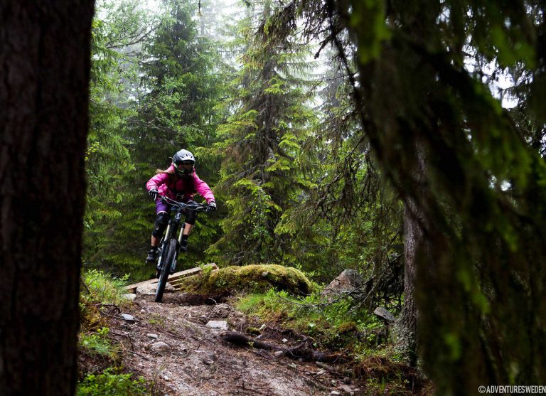 Downhill i Lofsdalen | Foto: Callum Jelley