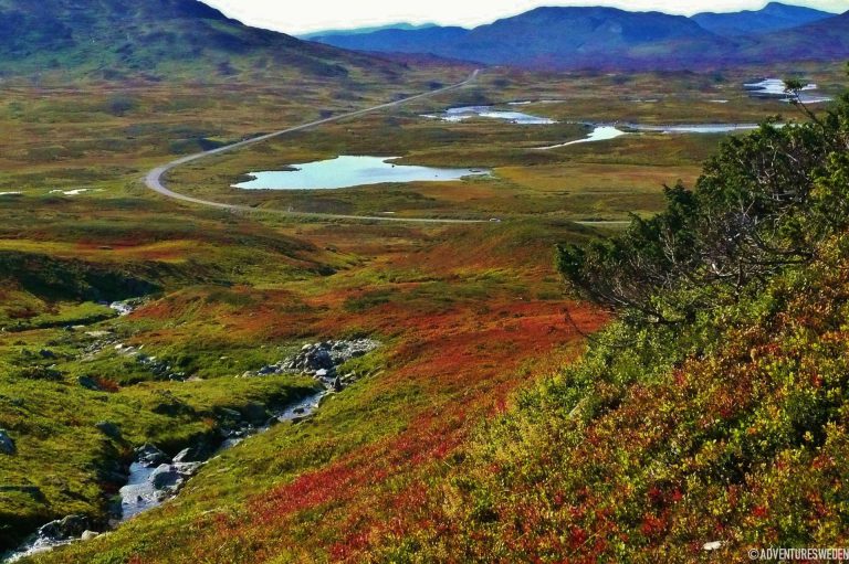 Vildmarksvägen| Foto: Madeleine Aaraas