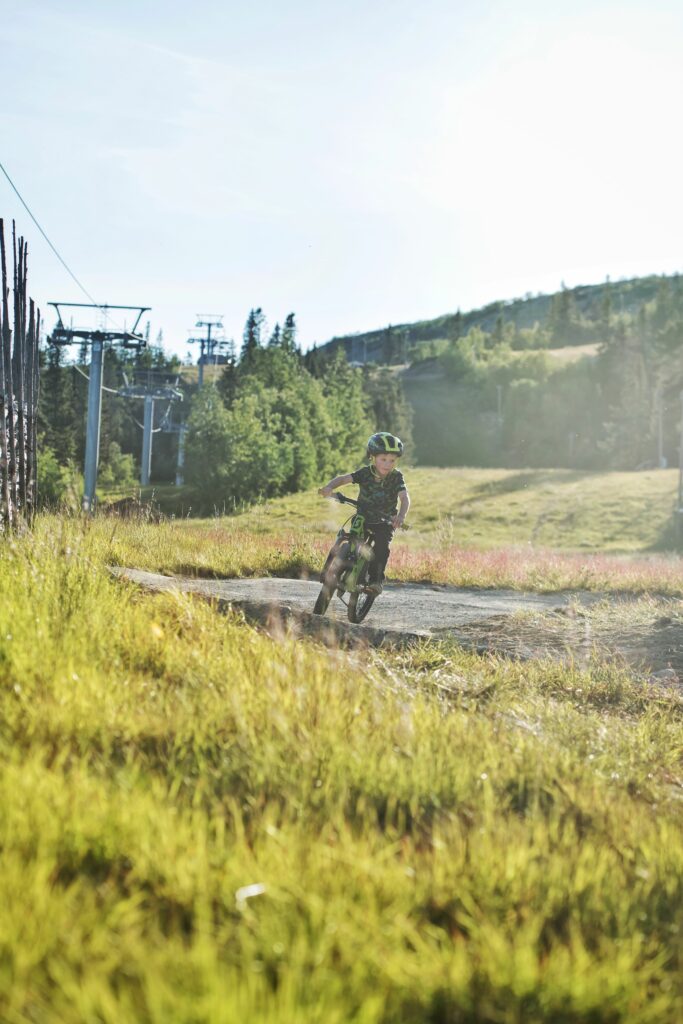 Vemdalen Pumptrack Karl Vertergård