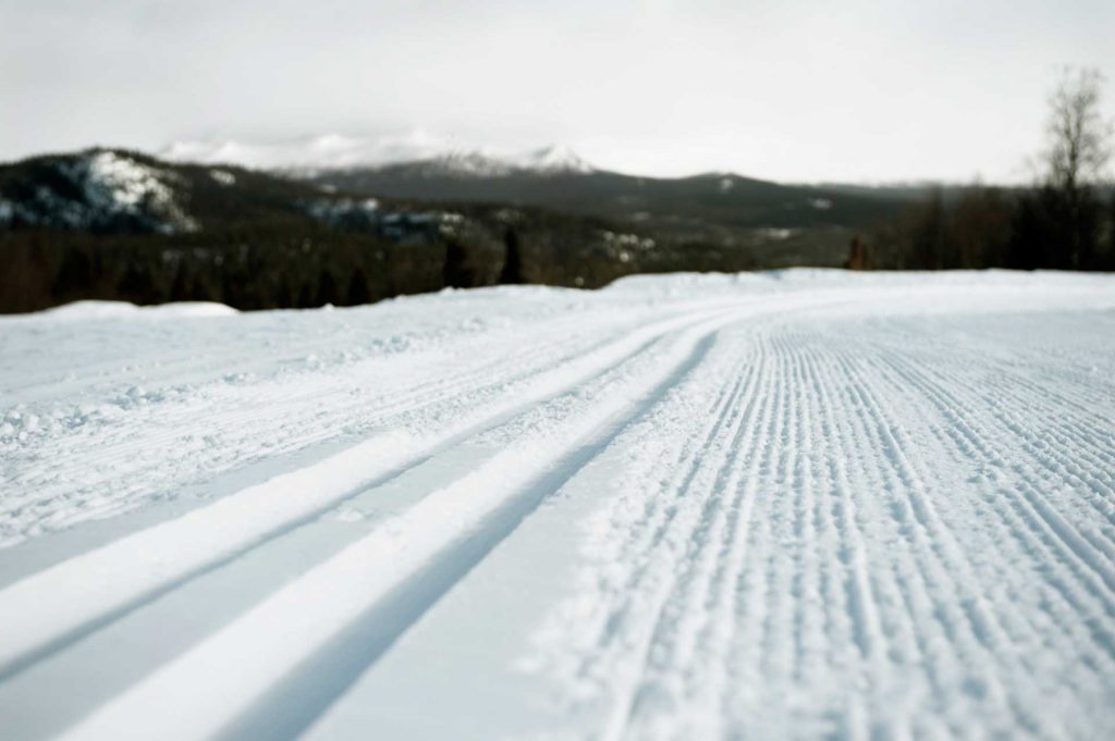 Cross country tracks | Photo: Martin Söderqvist