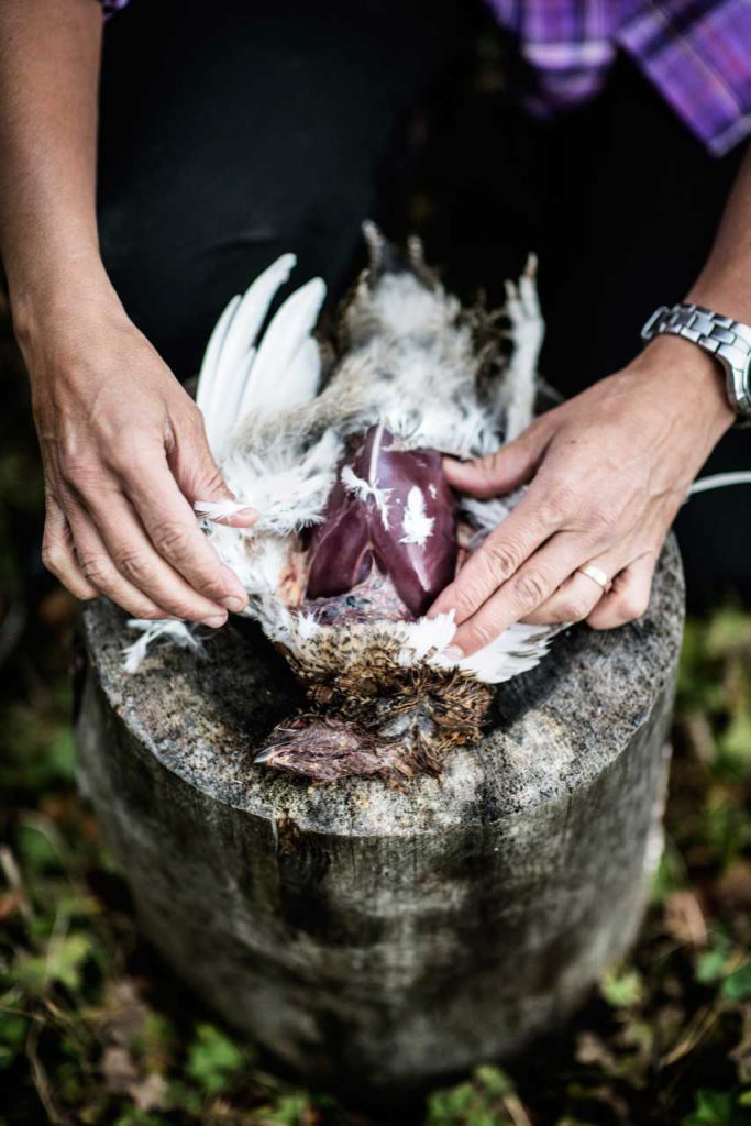 Bird hunting in Sweden | Photo: Sandra Lee Pettersson