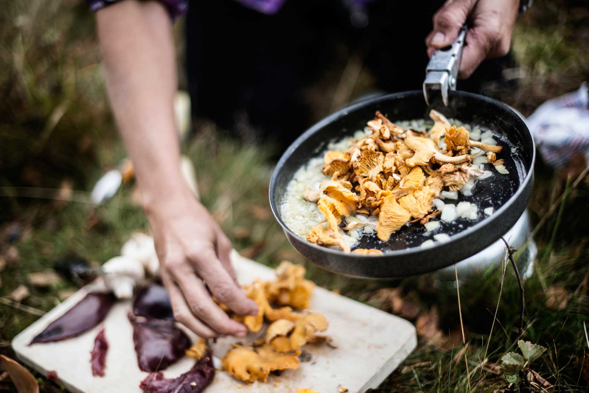 Jämtland Härjedalen - The Edible Country | Adventure Sweden