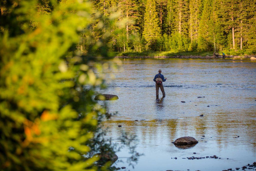 Fly fishing Kvissleströmmarna | Photo: Anette Andersson