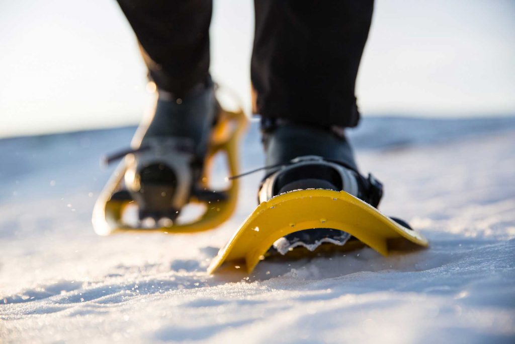 Snowshoe hike | Photo: Anette Andersson
