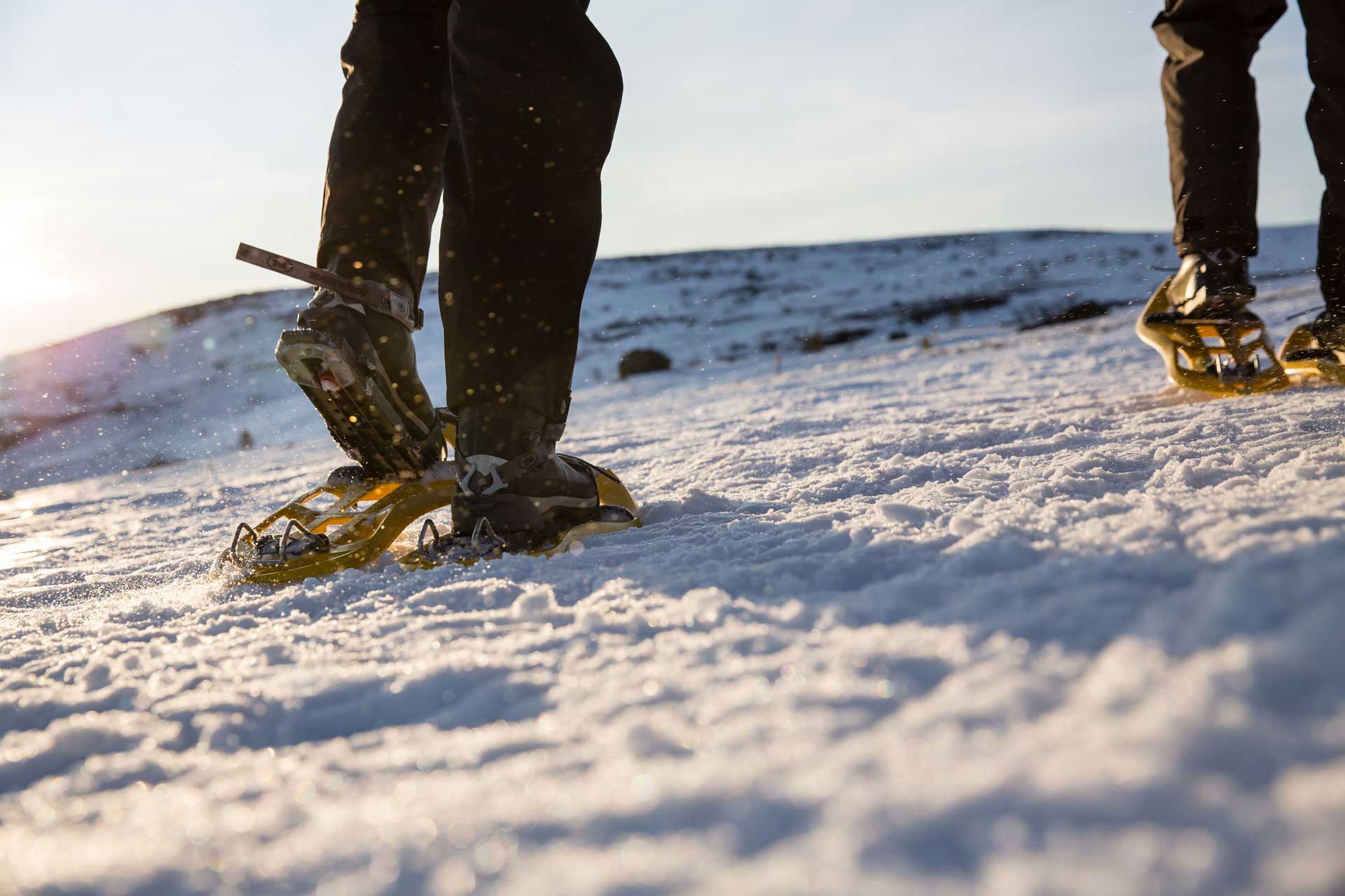 Snowshoe hike | Photo: Anette Andersson