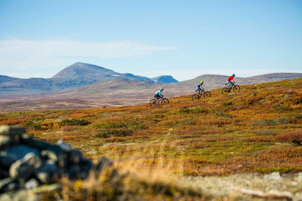 Mountainbike in Funäsfjällen