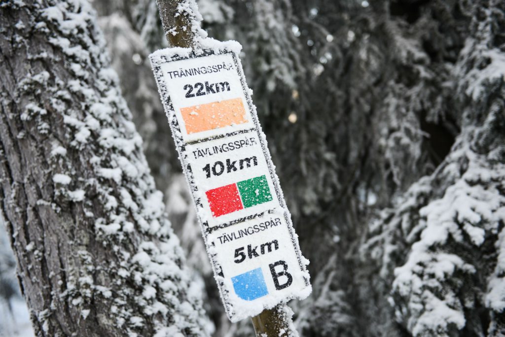 Cross country tracks in Östersund. Photo: Sverker Berggren
