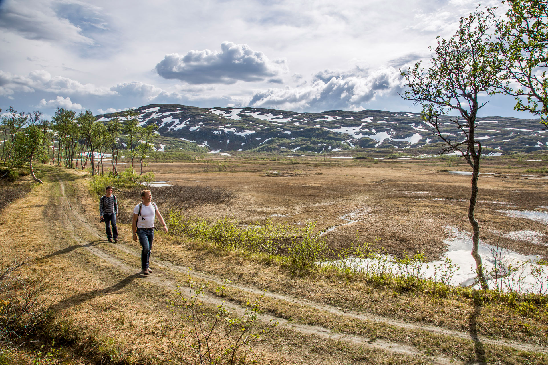 St Olavsleden - A Nordic Pilgrims Dream  Adventure Sweden