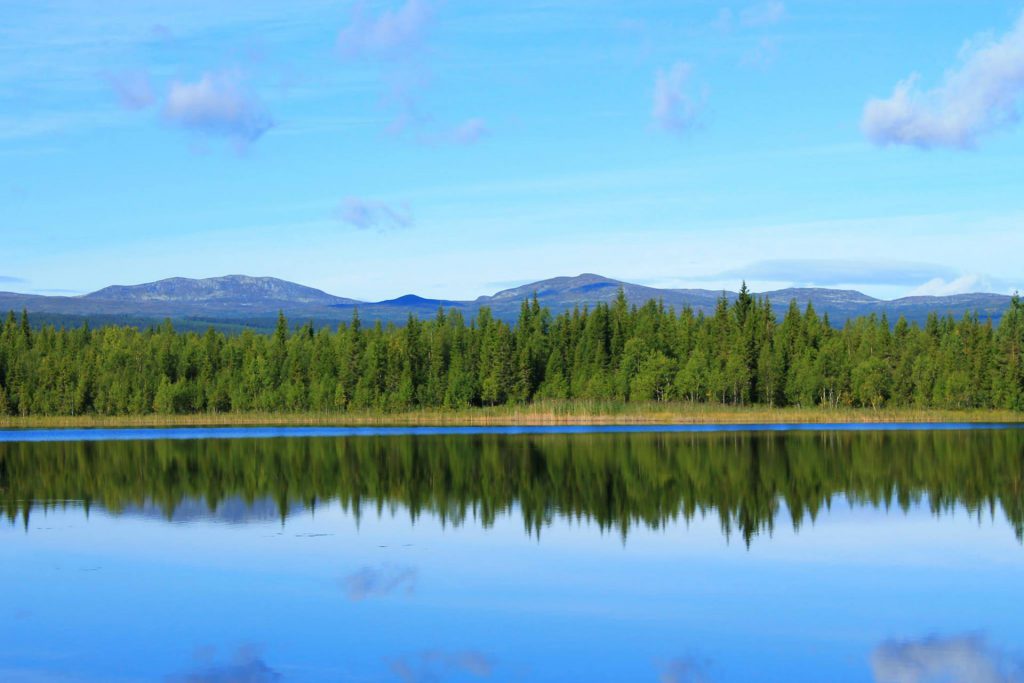 Vandring utanför led i Ansättfjällen | Foto: Mikael Nyberg