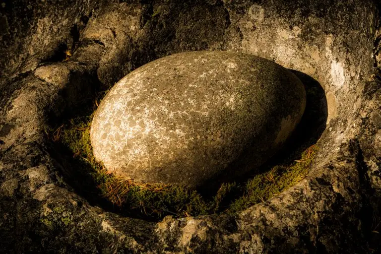 Dead falls in Ragunda | Photo: Niclas Blom