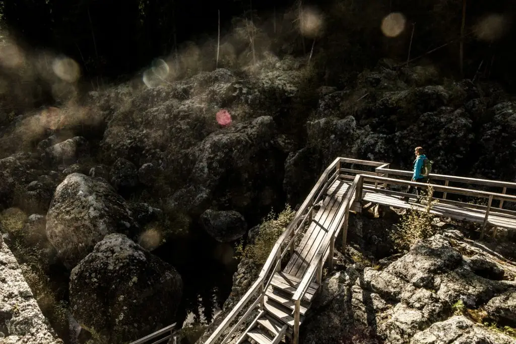 Dead falls in Ragunda | Photo: Niclas Blom