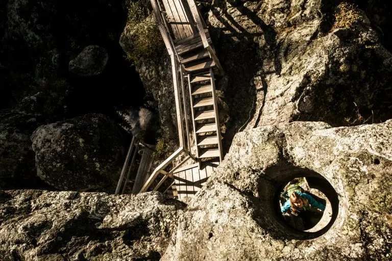 Dead falls in Ragunda | Photo: Niclas Blom