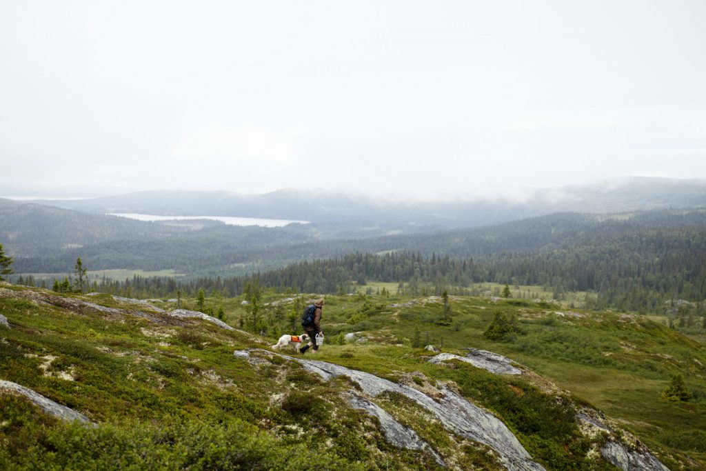 Fäviken Magasinet world class food