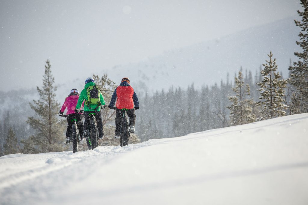 Fatbiking towards Lofsdalen