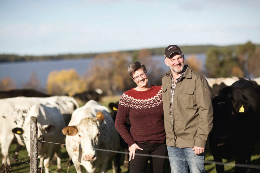 Niklas Camilla Brunkulla farm Östersund