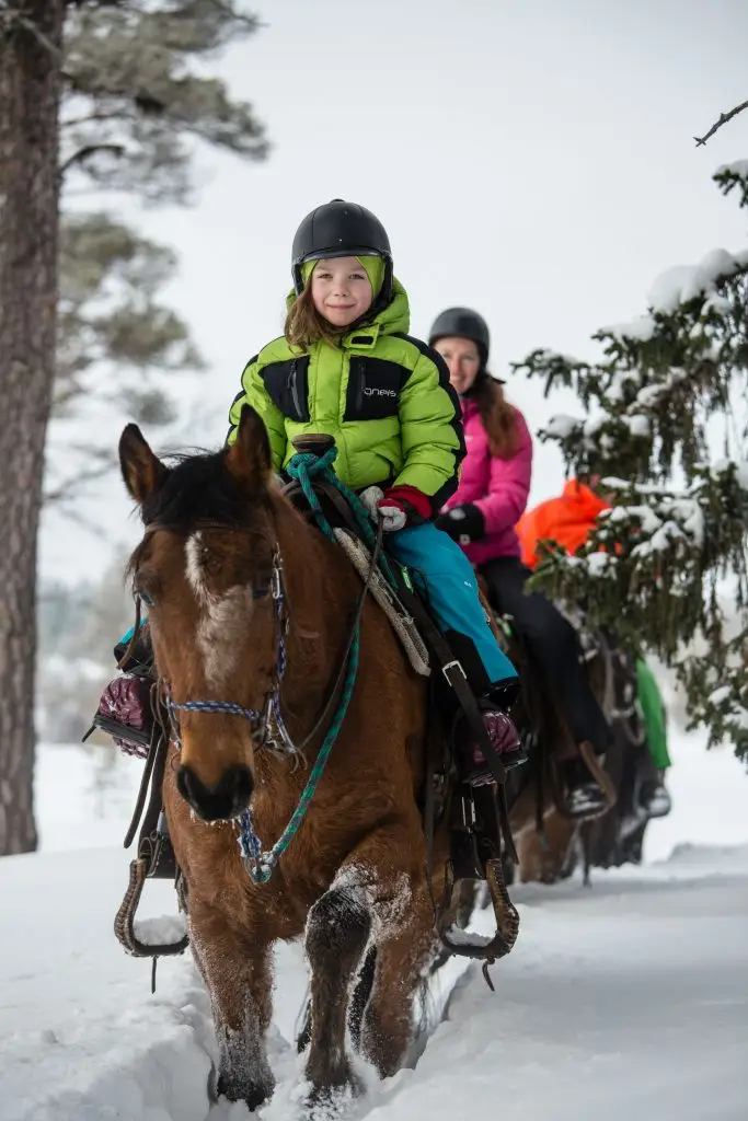 Vinterridning_Anette_Andersson
