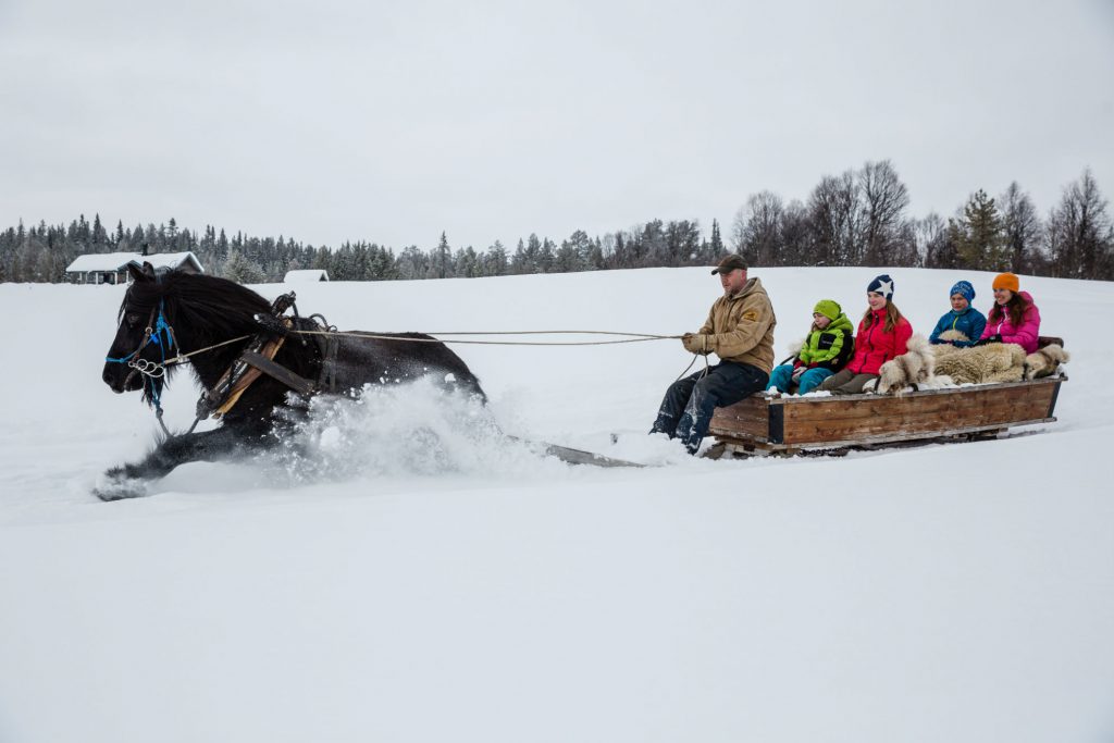 Sleighride_Vemdalen_Anette_andersson