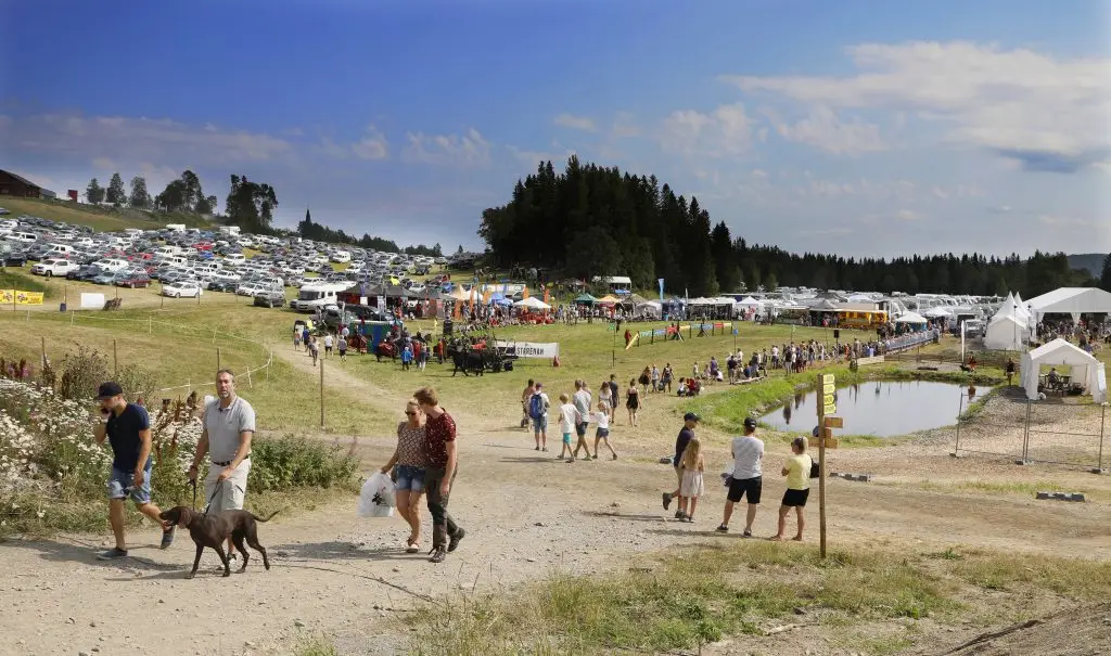 Västgård Game Fair Leif Milling