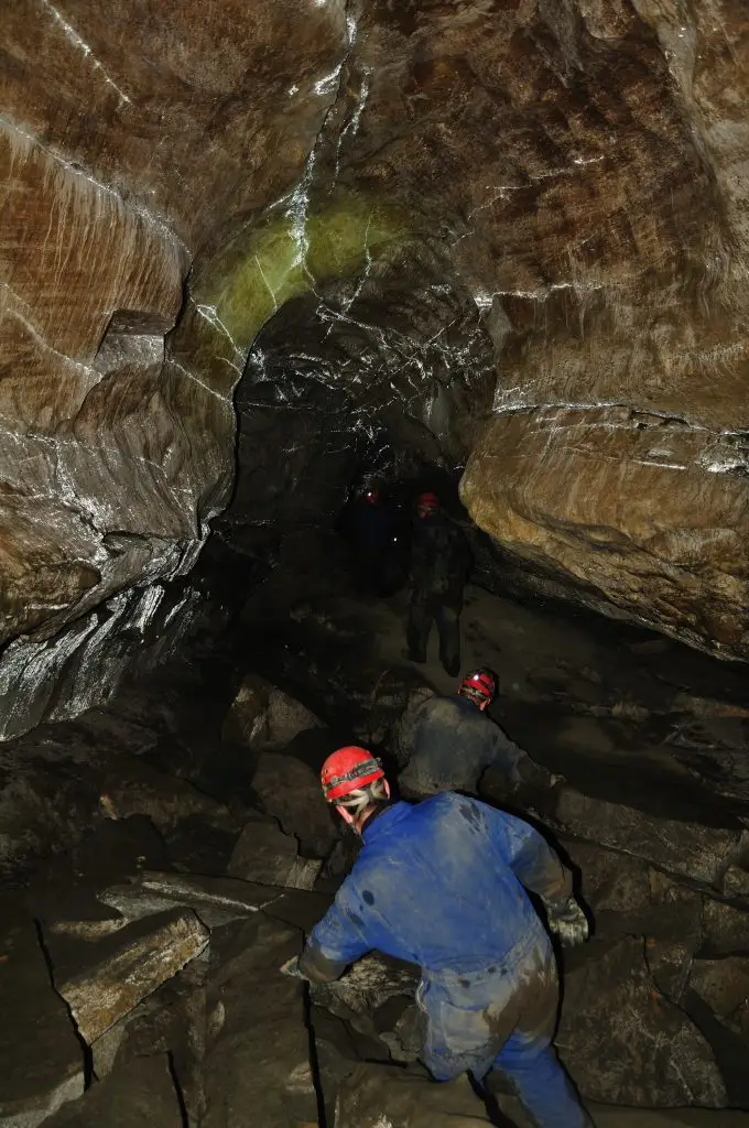 Utforska korallgrottan Vilseledaren