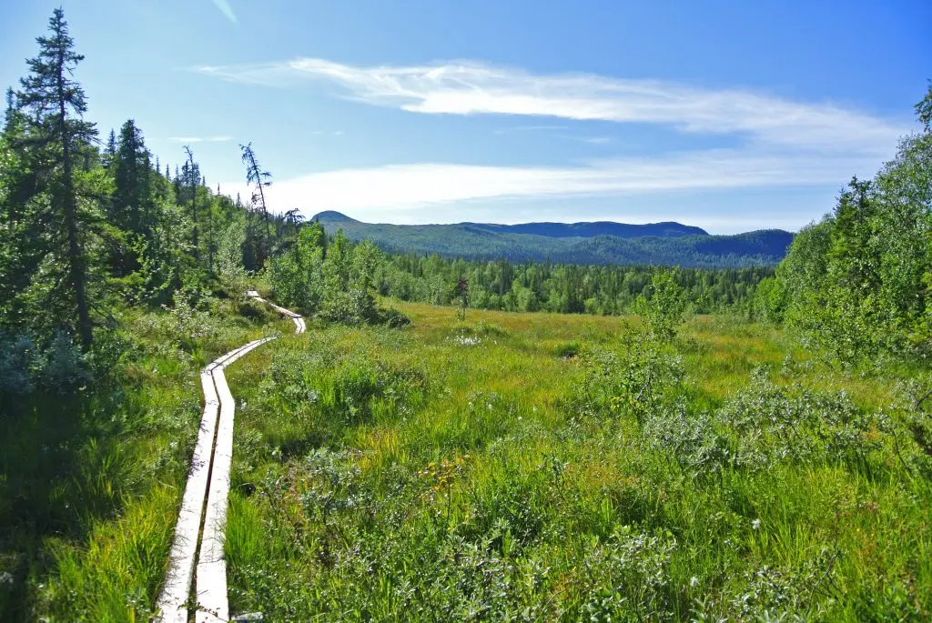 Led Bjurälven Korallgrottan Vilseledaren