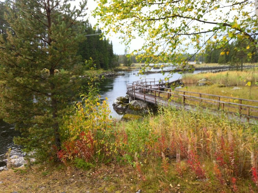 Gimårasten höst bräcke fiske tillgängligt