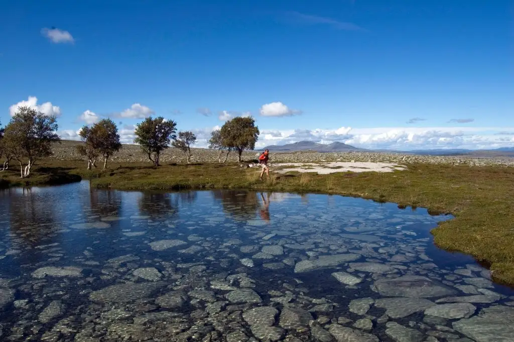 Vandring Rogen Lena Hedman