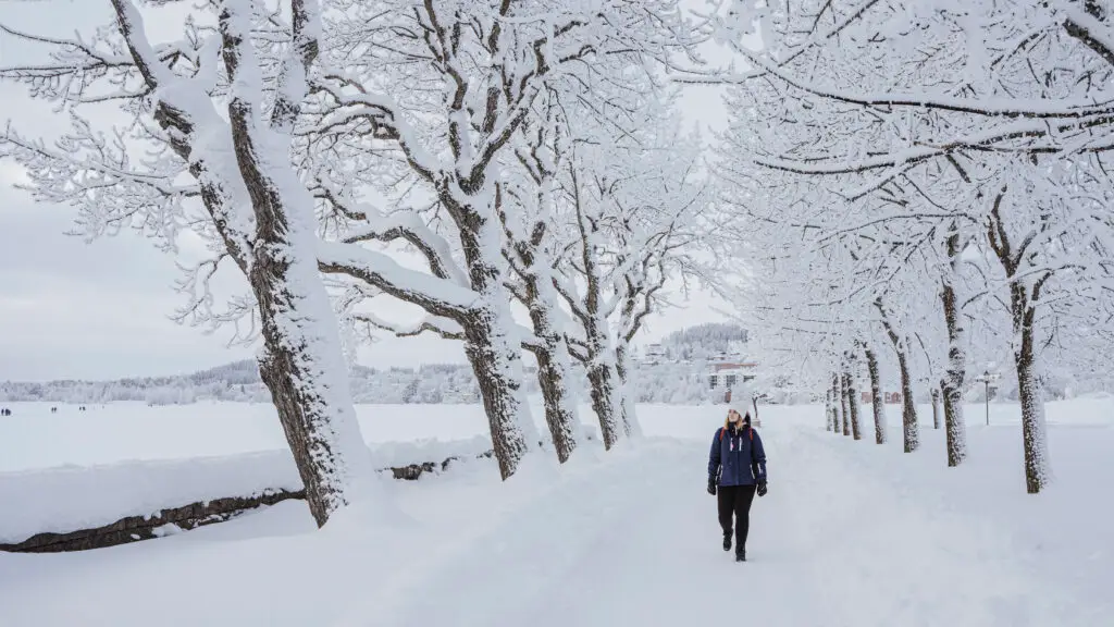 Anna Badhusparken Mats Lind