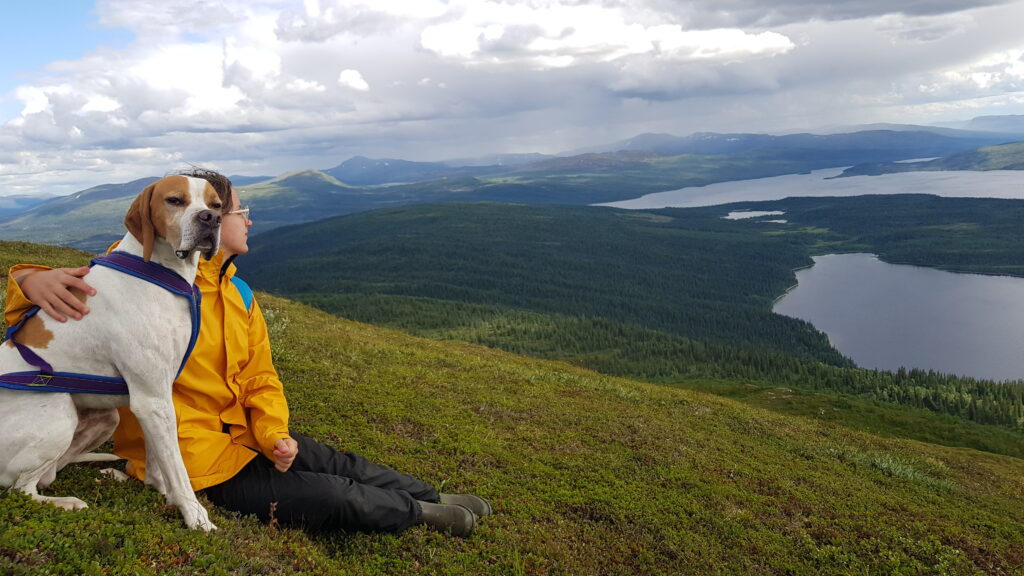 Fjällvandring Pointer Charlotte Falk