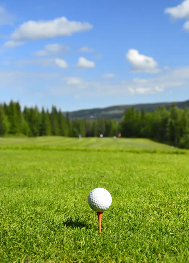 Klövsjö Vemdalen golfbana Karl Vertergård