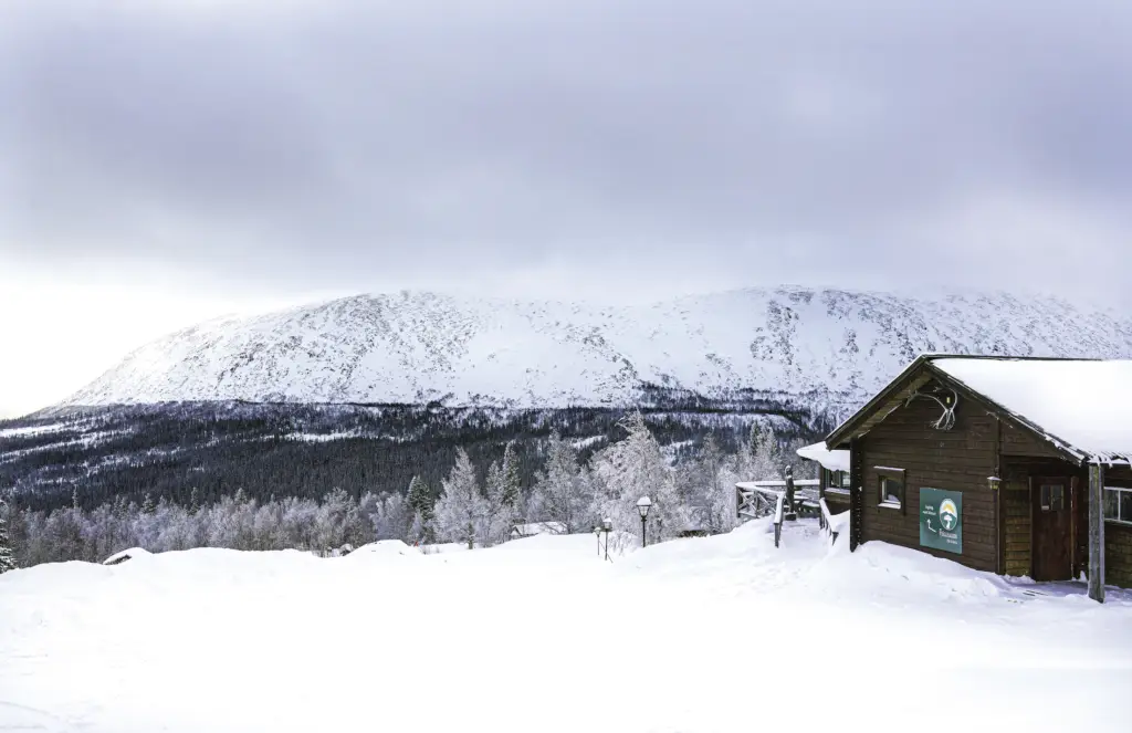 Fjällhalsen Stéphane Lombard