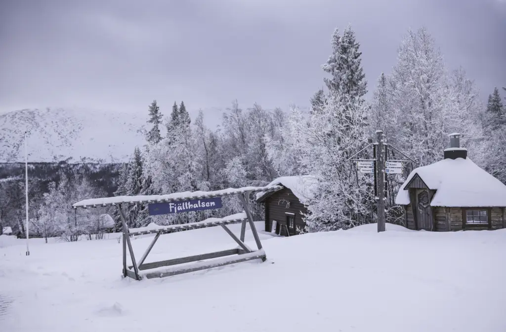 Fjällhalsen Stéphane Lombard