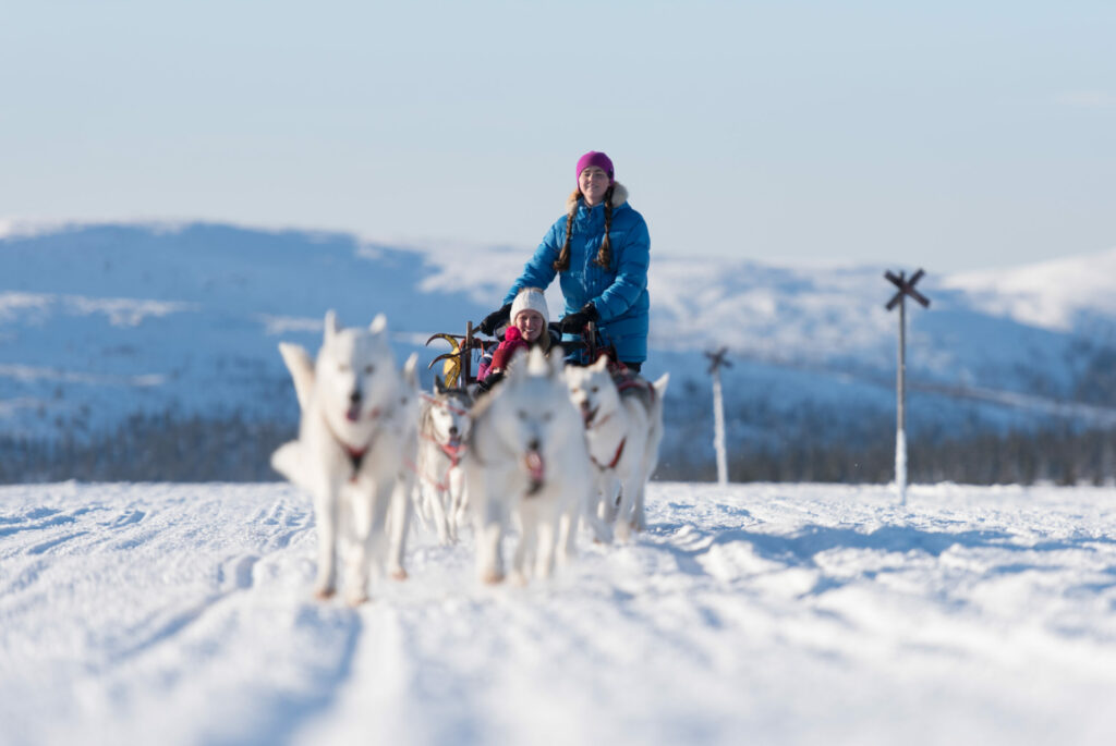 Hundsläde dogsled Vemdalen Kenneth Grym